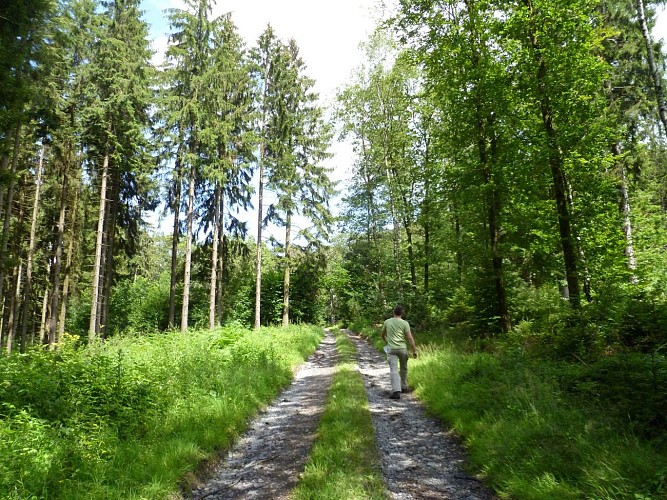 Promenade (c) Colette Mottet (88)