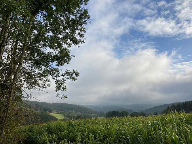 Wade les Mohons Rendeux Bas (Commune de RENDEUX)