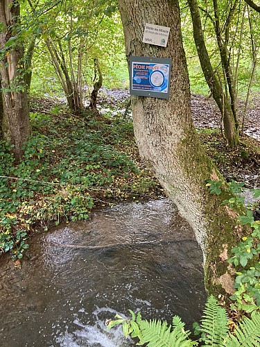 Wade les Mohons Rendeux Bas (Commune de RENDEUX)
