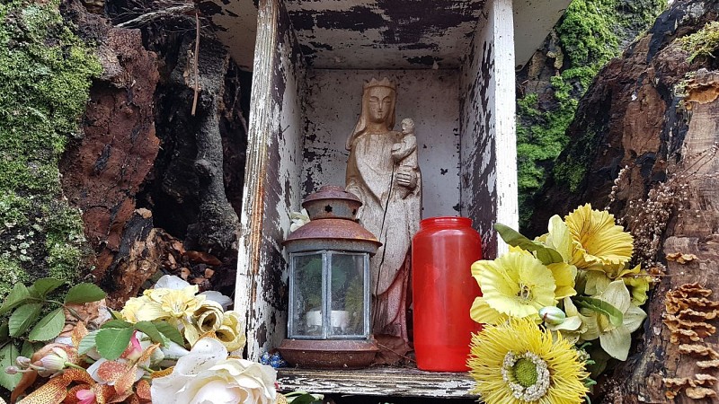 Les Arbres Remarquables Waharday (Commune de RENDEUX)