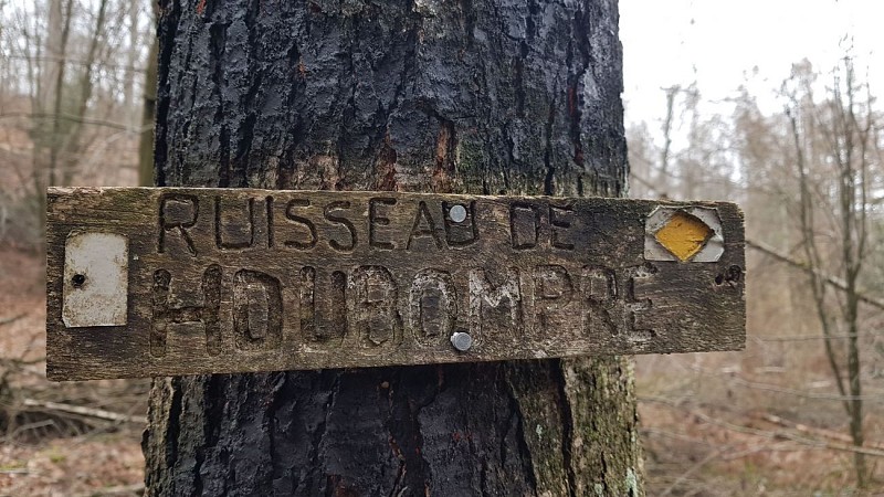 Les Arbres Remarquables Waharday (Commune de RENDEUX)