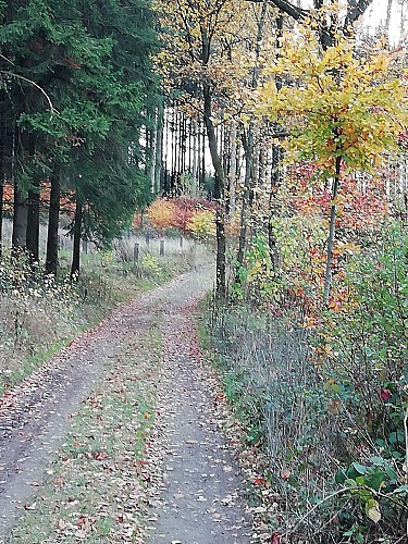 La Grande Virée Chéoux (Commune de RENDEUX)