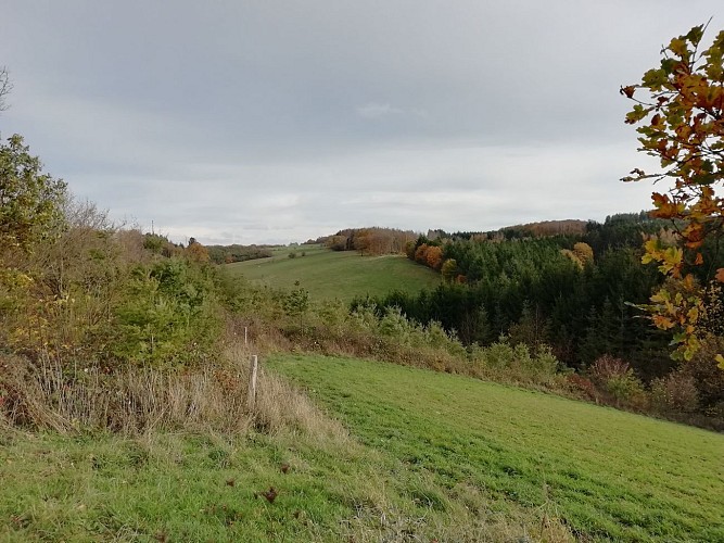 La Grande Virée Chéoux (Commune de RENDEUX)