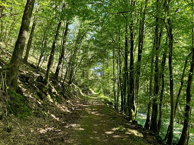 Rogifosse-et-fays-famenne©MTFSH-TEXTO_Pascal_Willems_(86) (1)