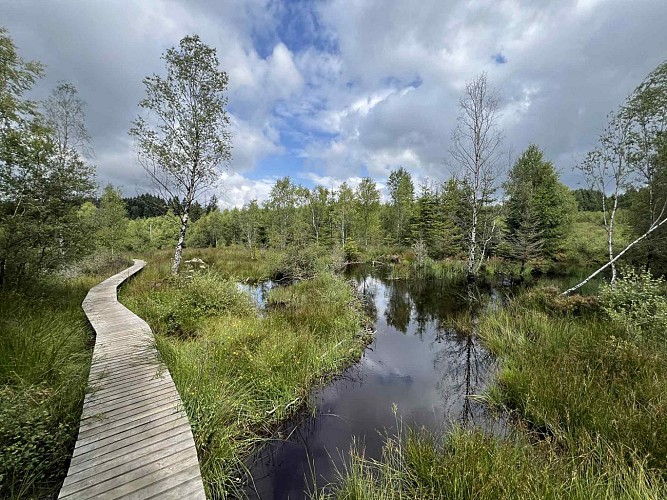 Fagne-odeigne-caillebotis