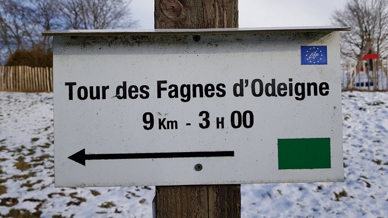 TOUR DE LA FAGNE D'ODEIGNE (Commune MANHAY)