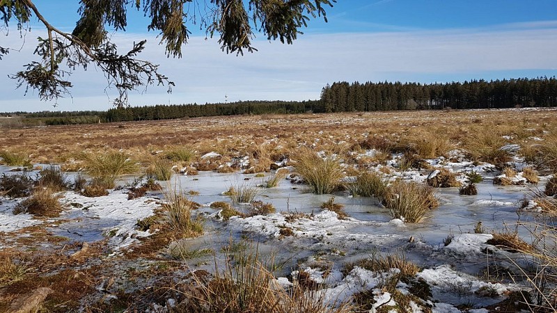 TOUR DE LA FAGNE D'ODEIGNE (Commune MANHAY)