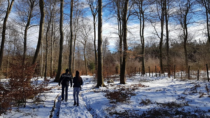 TOUR DE LA FAGNE D'ODEIGNE (Commune MANHAY)