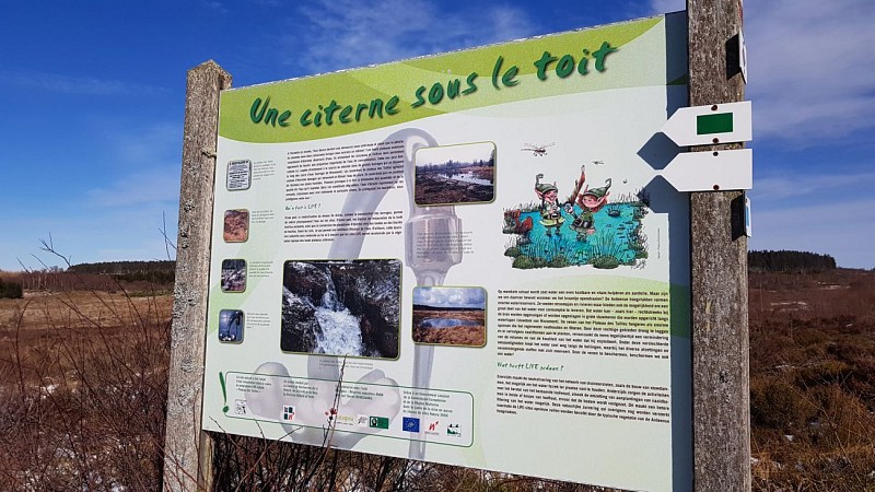 TOUR DE LA FAGNE D'ODEIGNE (Commune MANHAY)