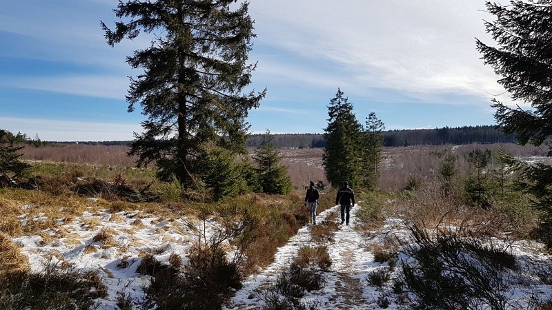 TOUR DE LA FAGNE D'ODEIGNE (Commune MANHAY)