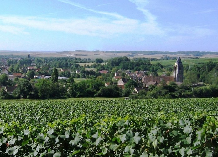 Terroirs et vignes en Val de Noxe