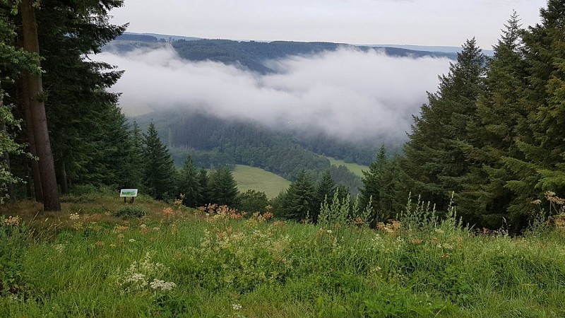 Bérismenil - "Promenade Les Crestelles"