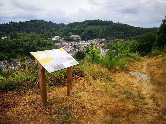 Promenade des points de vue La Roche-en-Ardenne