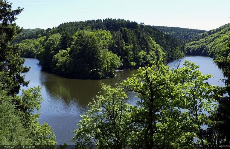 Confluent des deux ourthes.jpg