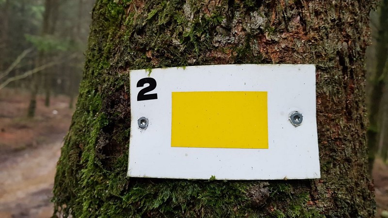 Samrée - "Promenade Belvâ"