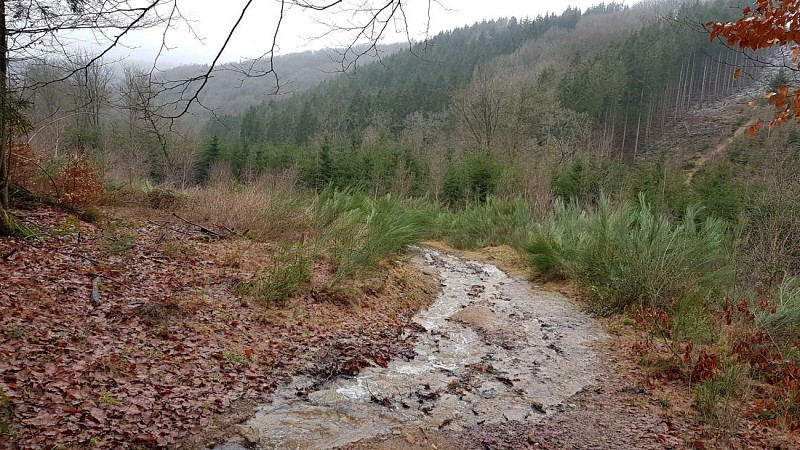 Samrée - "Promenade Belvâ"