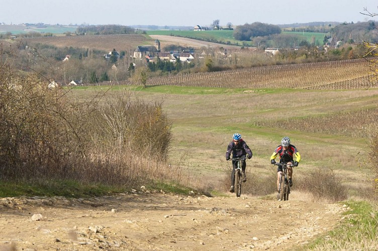 N°16) Les Coteaux Moroguois