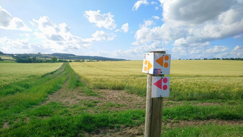 N°18) Le Domaine de la Reculée
