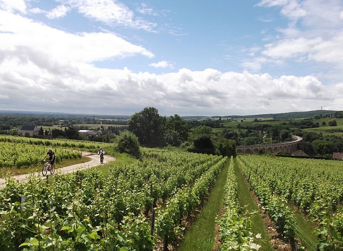 N°28) Le Clos du Roc via le bois de Charnes et les caves de la Perrière