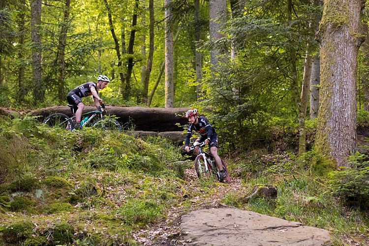 Circuit VTT n°94 Bertramenil