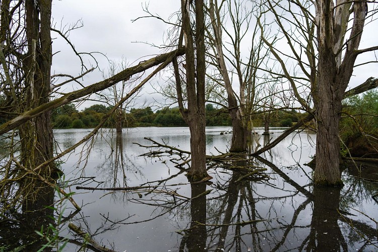 MTSO_Moignelée_23092019_0003