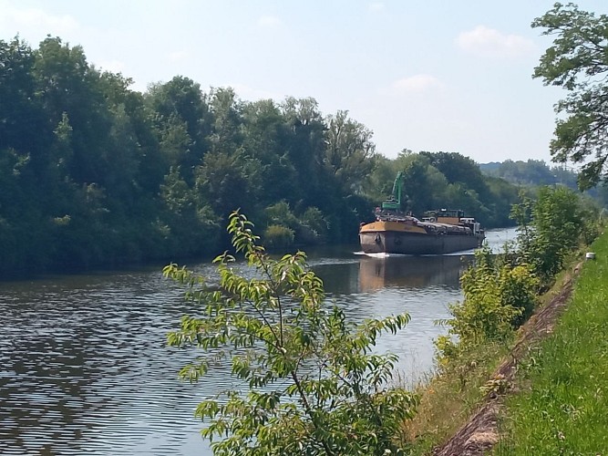 Balade autour de la noue 26.06.24. (42)