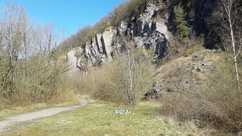 55575787_1485328951600188_4890486927024717824_n