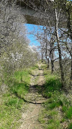 55653312_331451664175784_2631620474798342144_n