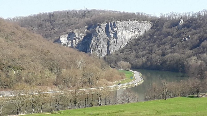 55963106_557355121425706_2041685070057570304_n