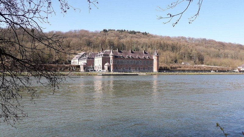 55575660_576066029567999_1137492684999491584_n