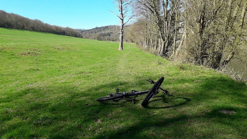 55627747_1797093810392175_3310419324124004352_n