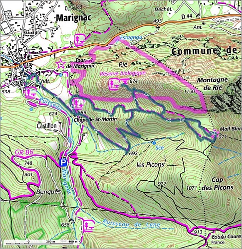 18 - Le Genevrier Thurifère