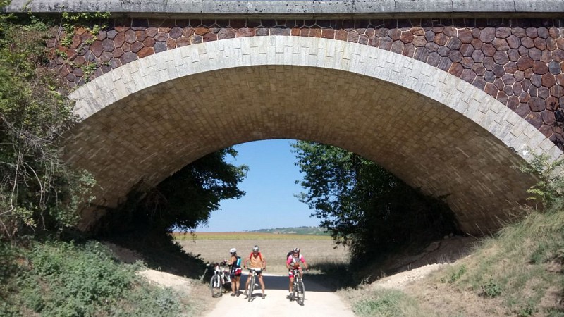 N°32) Les Bois de Feux