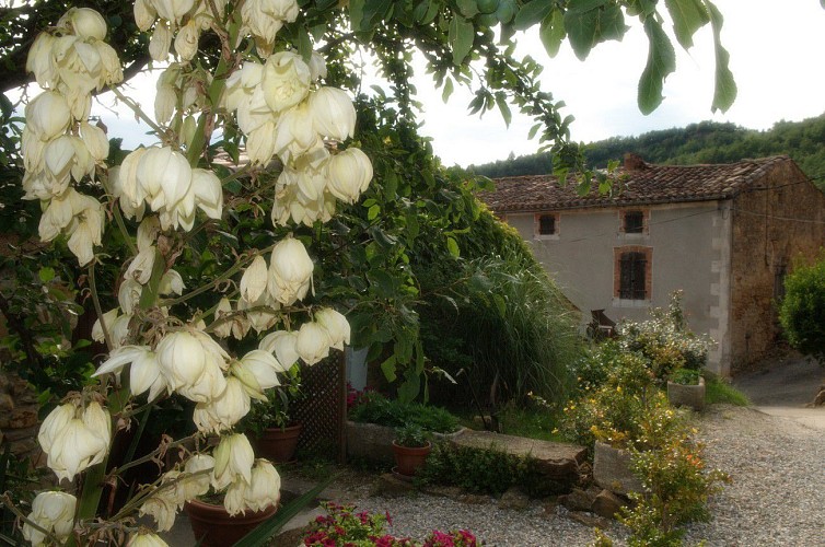 Sougraigne-Les sources de la Salz