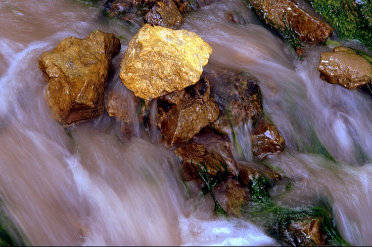 Sougraigne-la fleur de sel
