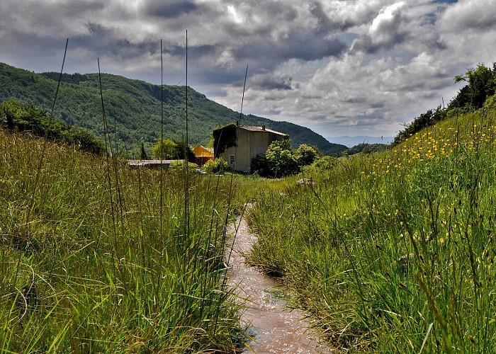 Sougraigne-la fleur de sel