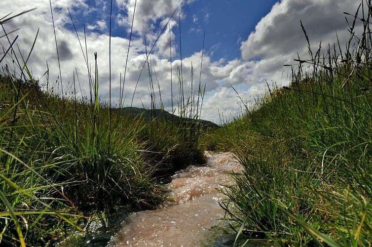 Sougraigne-Entre sel et verre-itinéraire de découverte