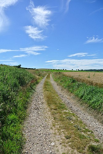 2 - Boucle du Rail - Parcours officiel - VIGILANCE CHASSE DU 21/09/2025 AU 28/02/2026