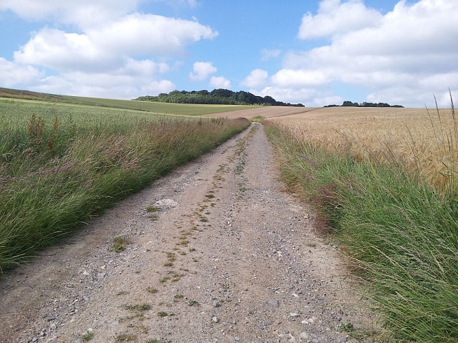 3 - Boucle des Bois - Parcours officiel - VIGILANCE CHASSE DU 21/09/2025 AU 28/02/2026