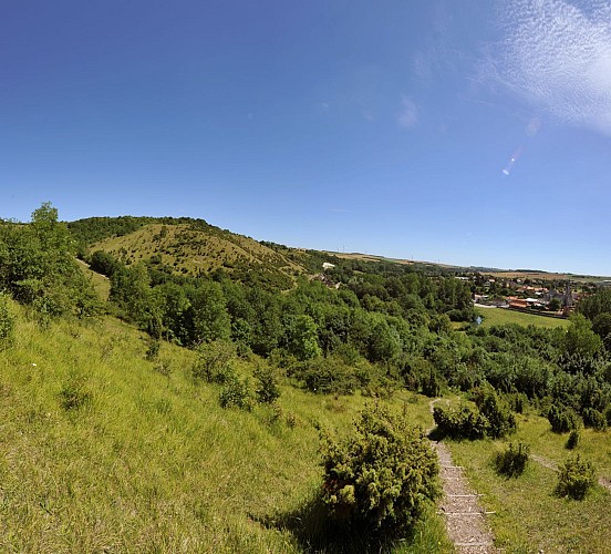 8 - Boucle des Coteaux - Parcours officiel - VIGILANCE CHASSE DU 21/09/2025 AU 28/02/2026