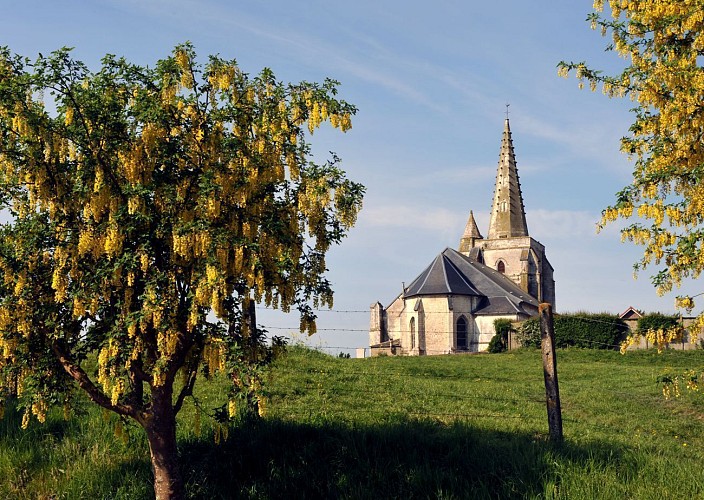 Le Mont de Drionville - Nielles-lès-Bléquin - Parcours officiel - VIGILANCE CHASSE DU 21/09/2025 AU 28/02/2026