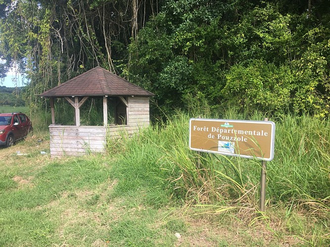 Forêt de POUZZOLE