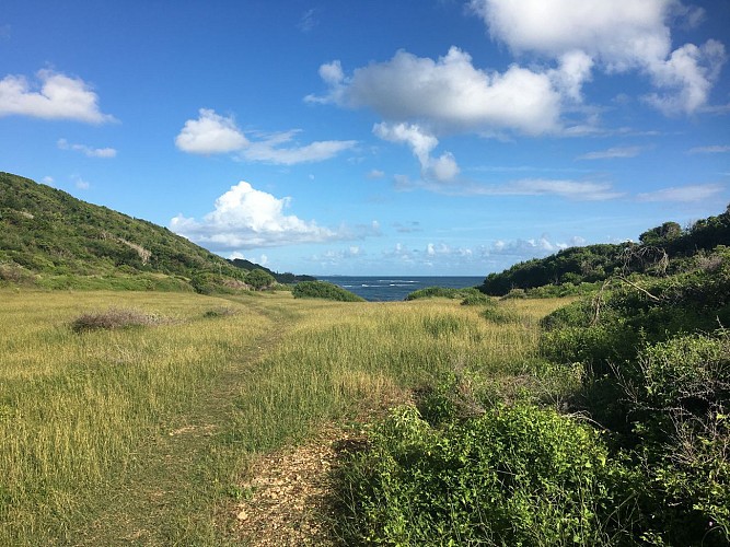 Littoral entre Anse a la Barque et Anse des Rochers
