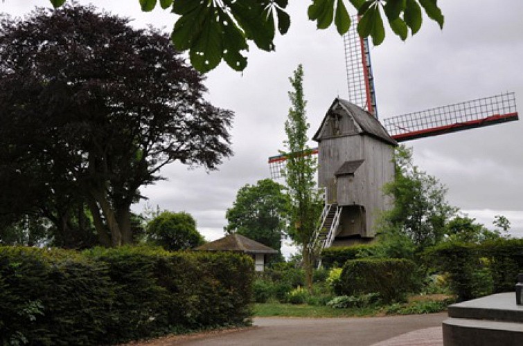 moulin flandres1