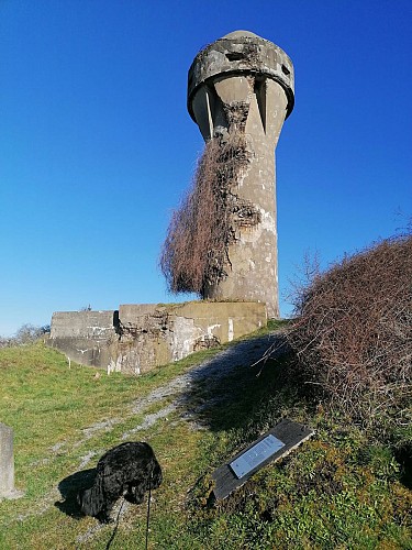 Tour du Fort