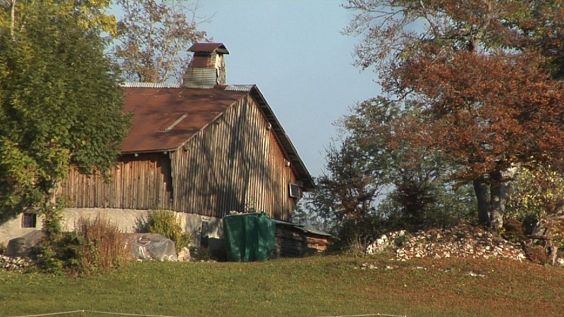 Plateau de Plaine Joux Mountain Bike Trail