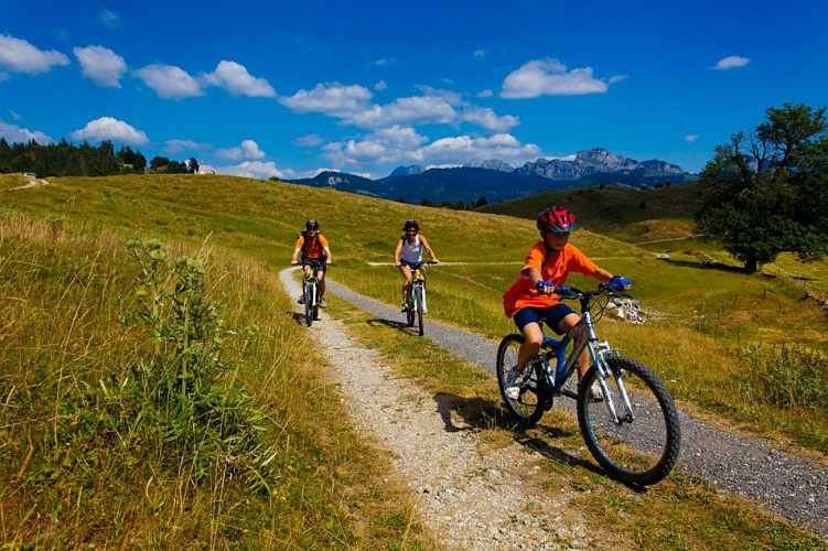 Plateau de Plaine Joux Mountain Bike Trail_Villard