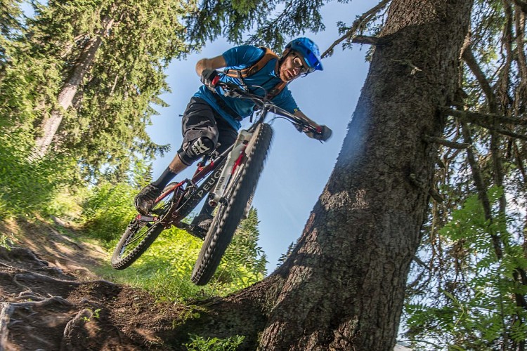 VTT Cross country - Plan des Loups