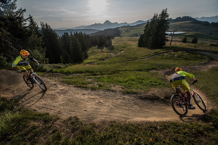 Downhill MTB - Droit dans lo boets