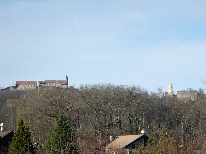 Cycling loop: Tour du Mont d'Hermone